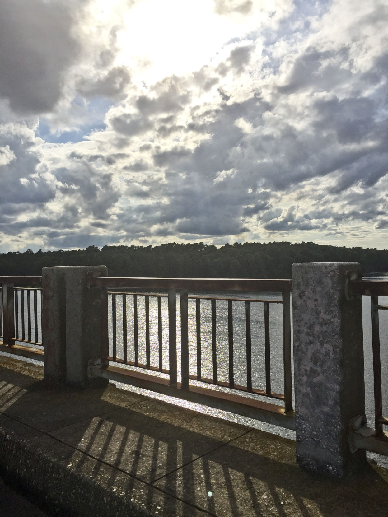Bridge over Lake Marion